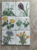 6x6 Flower Art Tile