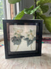 6x6 Flower w Shadow Box