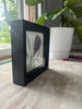 6x6 Flower w Shadow Box
