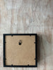 6x6 Flower w Shadow Box