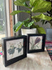6x6 Flower w Shadow Box