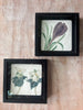 6x6 Flower w Shadow Box