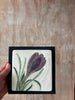 6x6 Flower w Shadow Box