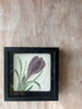 6x6 Flower w Shadow Box